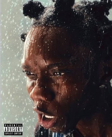 Blaqbonez &ndash; Everlasting Mp3 Download